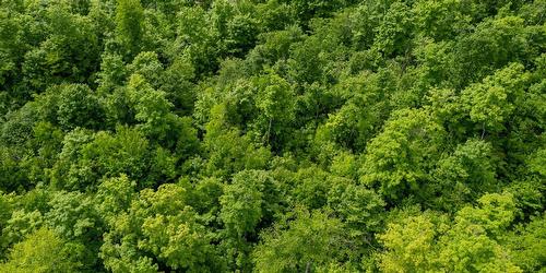 Aerial photo - 63 Ch. De La Montagne, Saint-Sixte, QC 