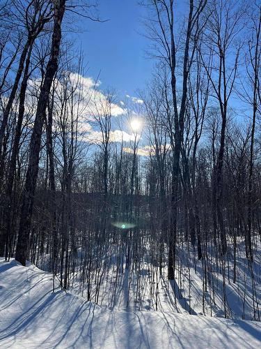 Wooded area - 56 Ch. De La Montagne, Saint-Sixte, QC 