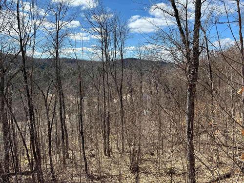 View - 56 Ch. De La Montagne, Saint-Sixte, QC 