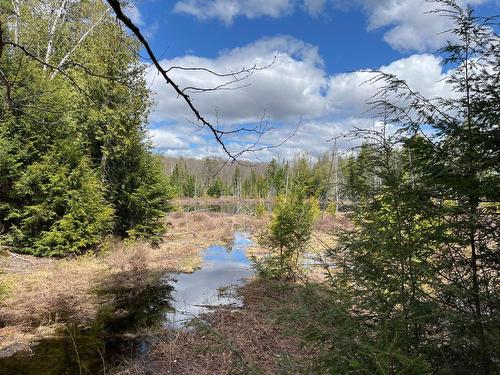 Autre - 35 Ch. De La Montagne, Saint-Sixte, QC 