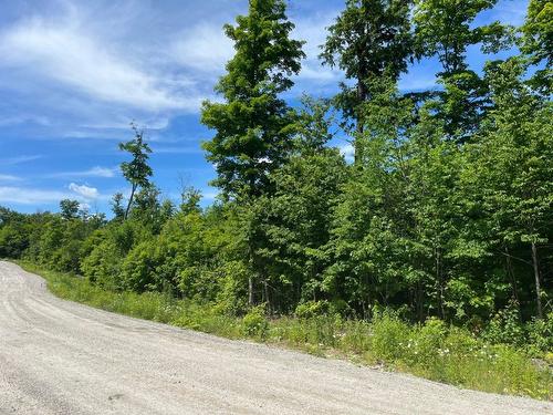 Autre - 35 Ch. De La Montagne, Saint-Sixte, QC 