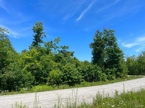 Autre - 35 Ch. De La Montagne, Saint-Sixte, QC 