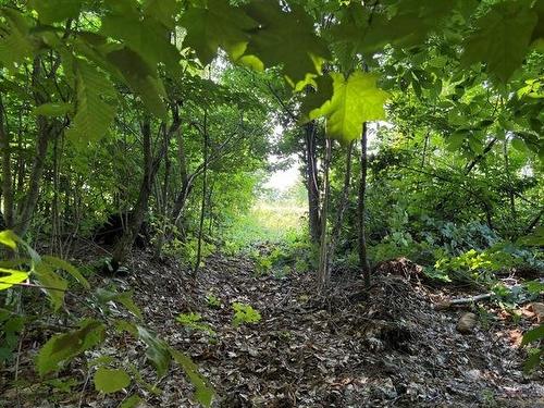 Boisé - 35 Ch. De La Montagne, Saint-Sixte, QC 