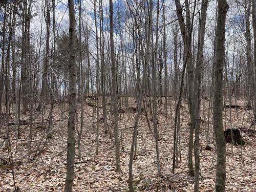 Boisé - 35 Ch. De La Montagne, Saint-Sixte, QC 