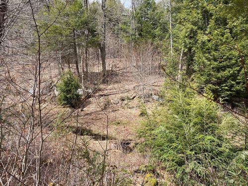 Boisé - 35 Ch. De La Montagne, Saint-Sixte, QC 