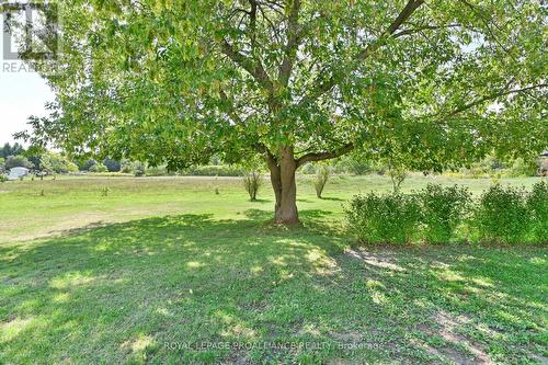 122 Lisgar Street, Brighton, ON - Outdoor