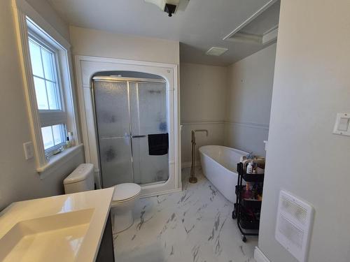 14 Drake Street, Marathon, ON - Indoor Photo Showing Bathroom