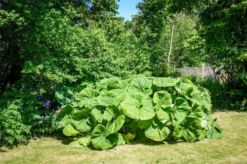 9437 Martin Park Dr, Black Creek, BC 