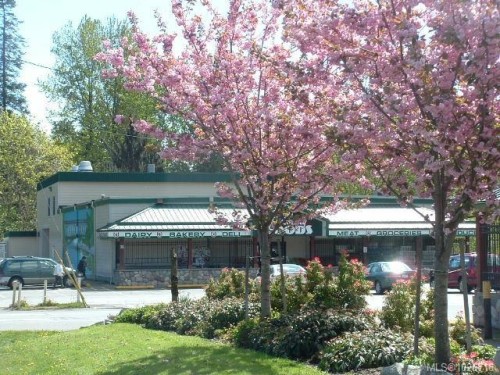 9437 Martin Park Dr, Black Creek, BC 