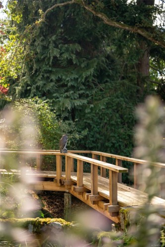 2162 Brighton Ave, Oak Bay, BC 