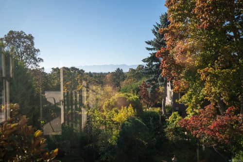 2162 Brighton Ave, Oak Bay, BC 