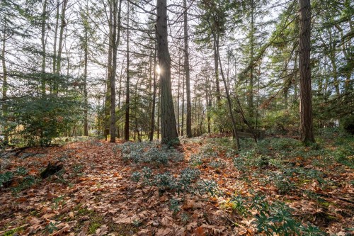 3383 Opal Rd, Nanaimo, BC - Outdoor With View