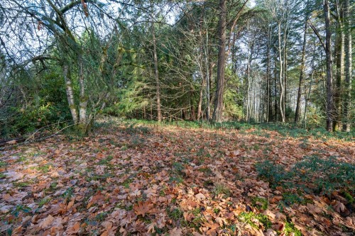 3383 Opal Rd, Nanaimo, BC - Outdoor With View