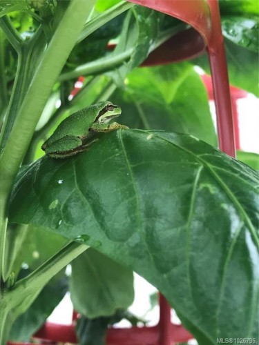 1390 Kurtis Cres, Nanaimo, BC 