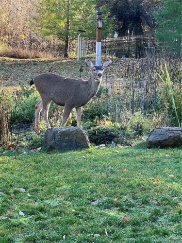 1390 Kurtis Cres, Nanaimo, BC 