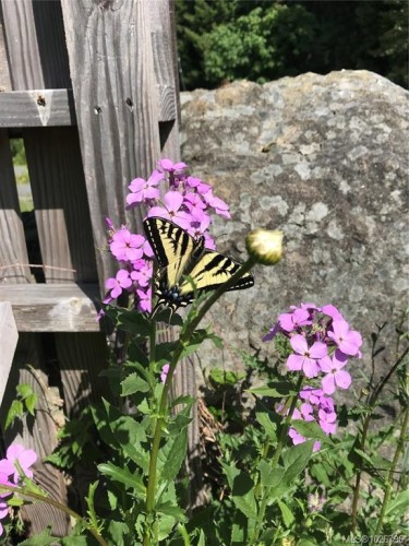 1390 Kurtis Cres, Nanaimo, BC 