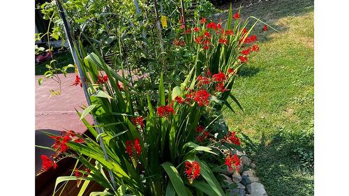 179 Springbend Road, Enderby, BC - Outdoor