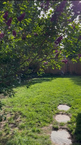 13 Cameron Avenue, Hamilton, ON - Outdoor