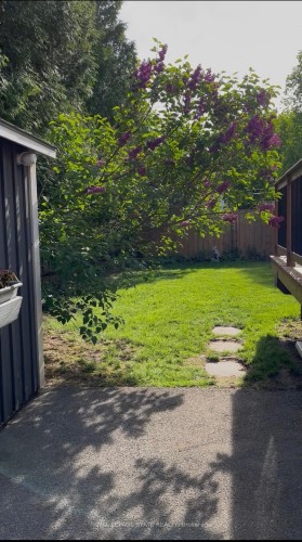 13 Cameron Avenue, Hamilton, ON - Outdoor