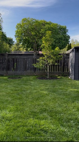 13 Cameron Avenue, Hamilton, ON - Outdoor