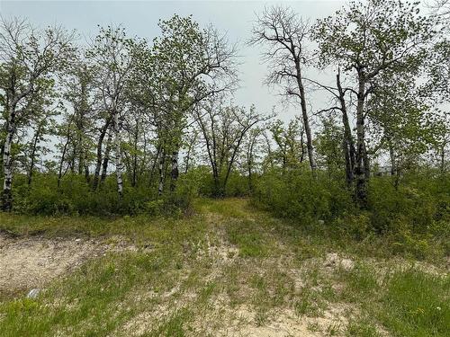 0 10 Road E, Komarno, MB 