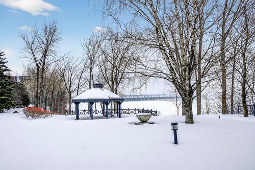 Jardin - 301-11 Rue O'Reilly, Montréal (Verdun/Île-Des-Soeurs), QC - Outdoor With View