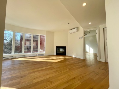 Living Room - 201-1315 Rue Notre-Dame O., Montréal (Ville-Marie), QC - Indoor Photo Showing Other Room With Fireplace