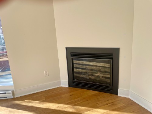 Other - 201-1315 Rue Notre-Dame O., Montréal (Ville-Marie), QC - Indoor With Fireplace