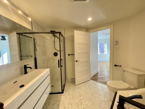 Bathroom - 201-1315 Rue Notre-Dame O., Montréal (Ville-Marie), QC - Indoor Photo Showing Bathroom