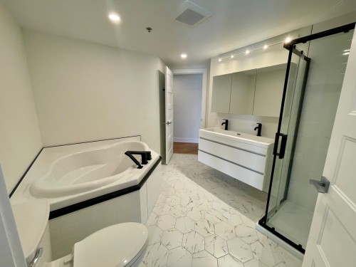 Bathroom - 201-1315 Rue Notre-Dame O., Montréal (Ville-Marie), QC - Indoor Photo Showing Bathroom