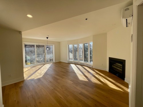 Living Room - 201-1315 Rue Notre-Dame O., Montréal (Ville-Marie), QC - Indoor With Fireplace