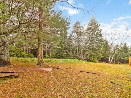 3728 Prospect Road, Shad Bay, NS 