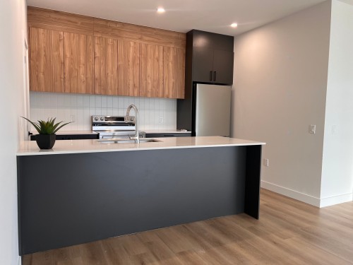 Cuisine - 312-282 Rue Du Cardinal, Saint-Amable, QC - Indoor Photo Showing Kitchen