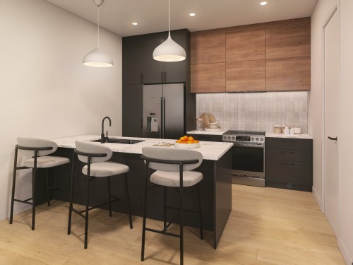 Cuisine - 307-282 Rue Du Cardinal, Saint-Amable, QC - Indoor Photo Showing Kitchen With Upgraded Kitchen