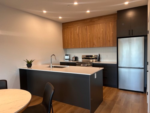 Cuisine - 304-282 Rue Du Cardinal, Saint-Amable, QC - Indoor Photo Showing Kitchen