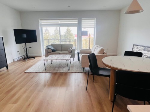 Salon - 304-282 Rue Du Cardinal, Saint-Amable, QC - Indoor Photo Showing Living Room