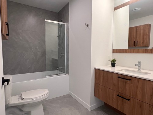 Salle de bains - 309-282 Rue Du Cardinal, Saint-Amable, QC - Indoor Photo Showing Bathroom