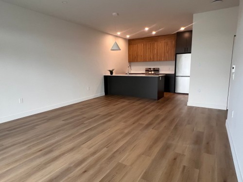 Salon - 306-282 Rue Du Cardinal, Saint-Amable, QC - Indoor Photo Showing Kitchen