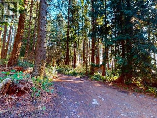 1283 Tennyson Rd, Savary Island, BC - Outdoor