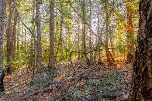 3379 Opal Rd, Nanaimo, BC - Outdoor With View