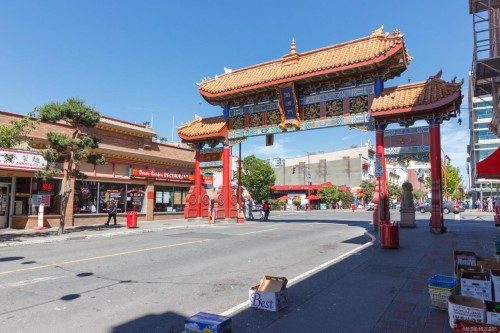 102 & 103-832 Fisgard St, Victoria, BC 