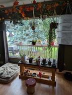 Note: triple pane Humphrey windows (2026) - 