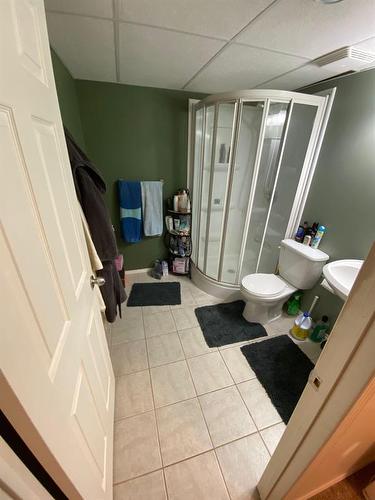 Lower Level  bath - 111 2Nd Avenue S, Swan River, MB - Indoor