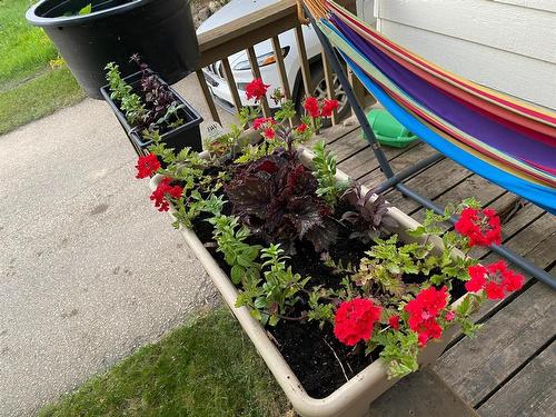 111 2Nd Avenue S, Swan River, MB - Outdoor