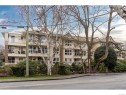 202-1501 Richmond Rd, Victoria, BC  - Outdoor With Facade 