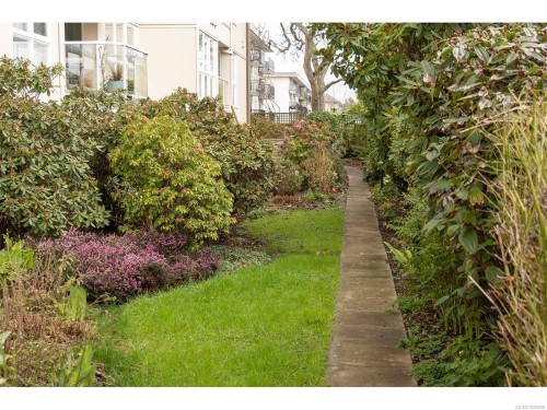 202-1501 Richmond Rd, Victoria, BC - Outdoor