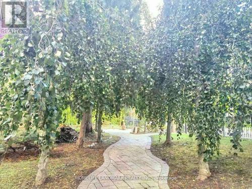 42 Maryvale Crescent, Richmond Hill, ON - Outdoor