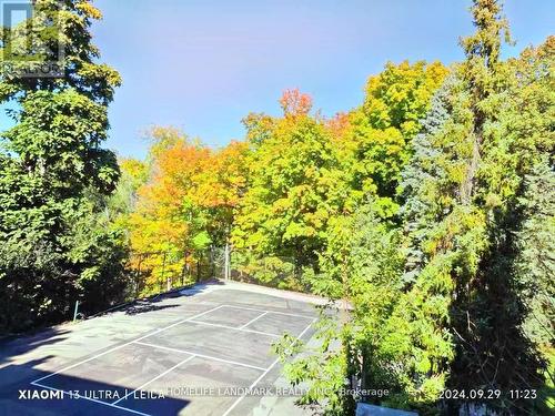 42 Maryvale Crescent, Richmond Hill, ON - Outdoor