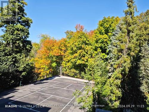 42 Maryvale Crescent, Richmond Hill, ON - Outdoor