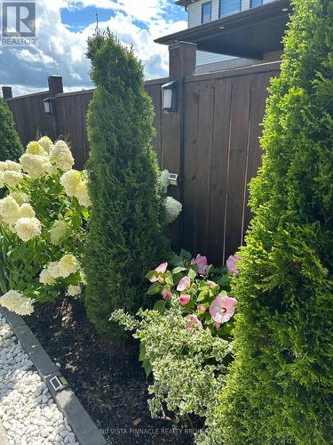 Backyard Landscaping - 1795 Brayford Avenue, London South (South K), ON - Outdoor